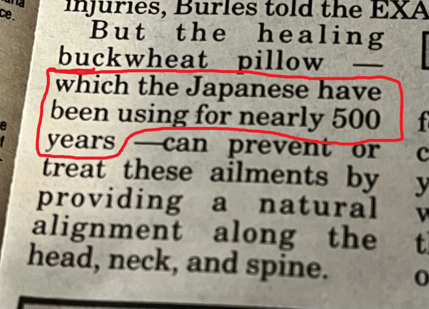 The Japanese use it... That's how you know it's good Buckwheat Pillow