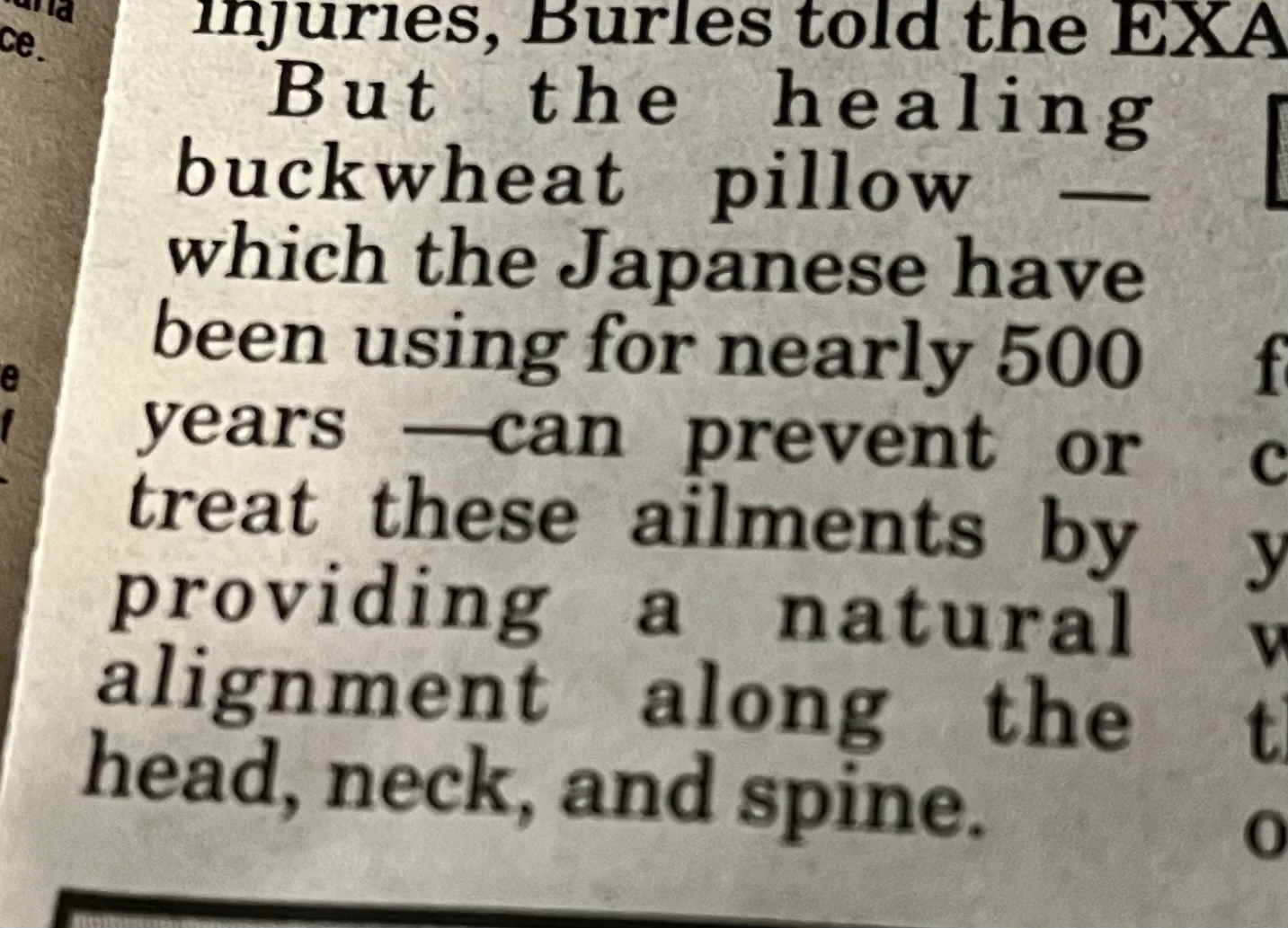 The Japanese use it... That's how you know it's good Buckwheat Pillow
